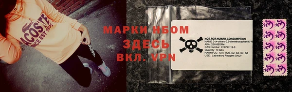 хмурый Магас