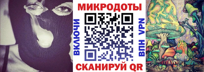 Псилоцибиновые грибы Psilocybine cubensis Янаул